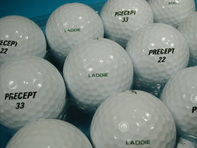 12 Precept Laddie Grade A+
